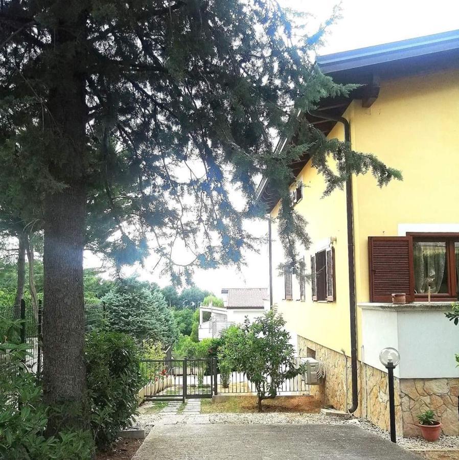 San Silvestro  Villa Andrea B&B المظهر الخارجي الصورة