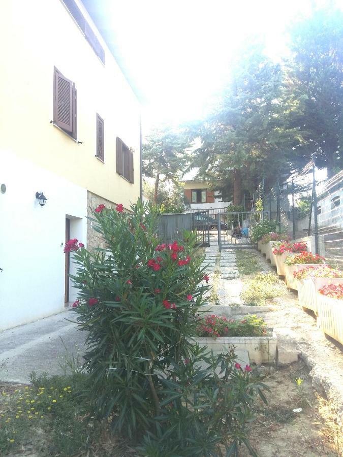 San Silvestro  Villa Andrea B&B المظهر الخارجي الصورة